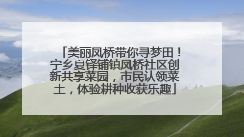 美丽凤桥带你寻梦田！宁乡夏铎铺镇凤桥社区创新共享菜园，市民认领菜土，体验耕种收获乐趣