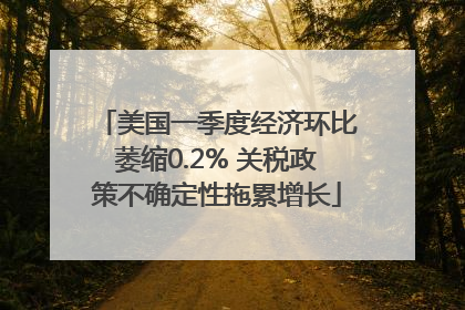 美国一季度经济环比萎缩0.2% 关税政策不确定性拖累增长