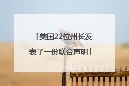 美国22位州长发表了一份联合声明