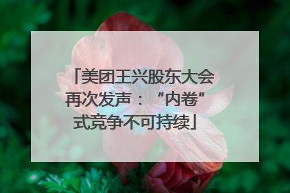 美团王兴股东大会再次发声：“内卷”式竞争不可持续