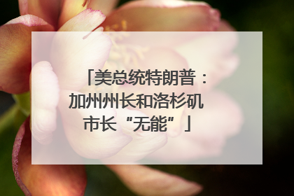 美总统特朗普：加州州长和洛杉矶市长“无能”