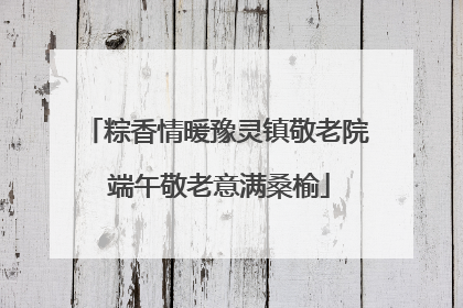 粽香情暖豫灵镇敬老院 端午敬老意满桑榆