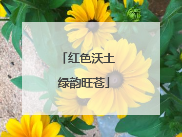 红色沃土 绿韵旺苍