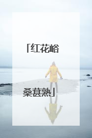 红花峪 桑葚熟