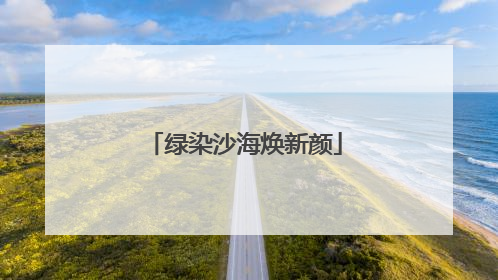 绿染沙海焕新颜