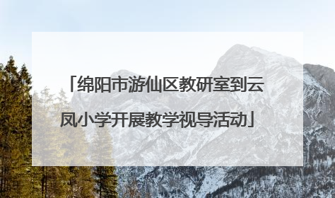 绵阳市游仙区教研室到云凤小学开展教学视导活动