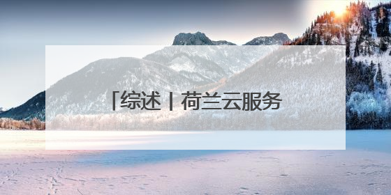 综述丨荷兰云服务严重依赖美国 加剧数字主权忧虑