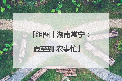 组图丨湖南常宁：夏至到 农事忙