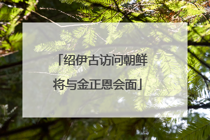 绍伊古访问朝鲜 将与金正恩会面