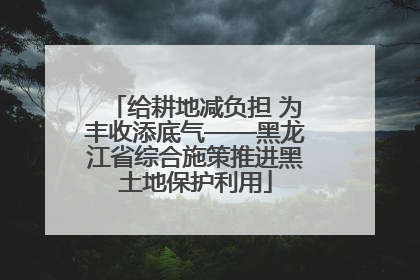 给耕地减负担 为丰收添底气——黑龙江省综合施策推进黑土地保护利用