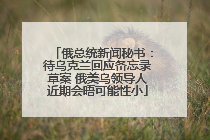 俄总统新闻秘书：待乌克兰回应备忘录草案 俄美乌领导人近期会晤可能性小