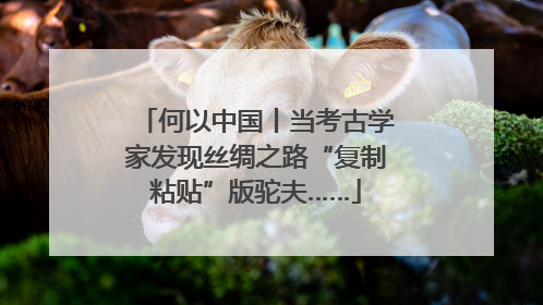 何以中国丨当考古学家发现丝绸之路“复制粘贴”版驼夫……