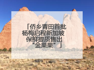 侨乡青田首批杨梅启程新加坡 保鲜提质售出“金果果”
