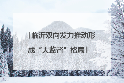 临沂双向发力推动形成“大监督”格局