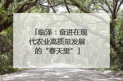 临泽：奋进在现代农业高质量发展的“春天里”