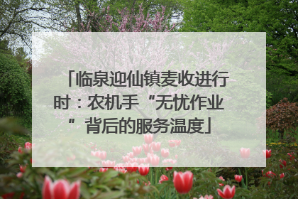 临泉迎仙镇麦收进行时：农机手“无忧作业”背后的服务温度