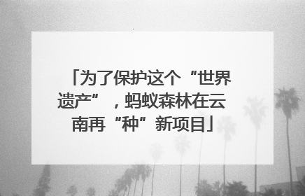 为了保护这个“世界遗产”，蚂蚁森林在云南再“种”新项目