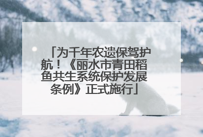 为千年农遗保驾护航！《丽水市青田稻鱼共生系统保护发展条例》正式施行