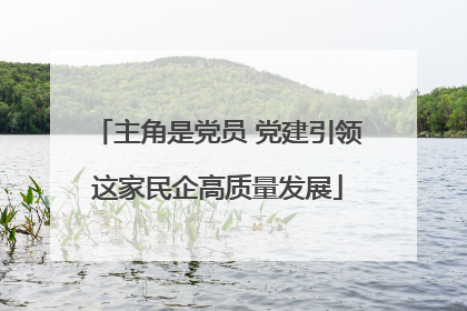 主角是党员 党建引领这家民企高质量发展