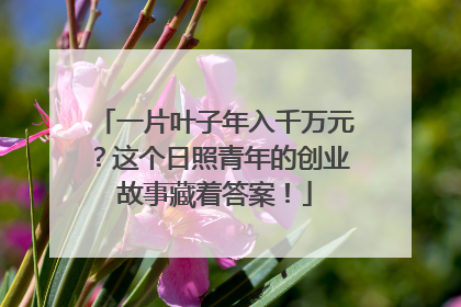 一片叶子年入千万元？这个日照青年的创业故事藏着答案！