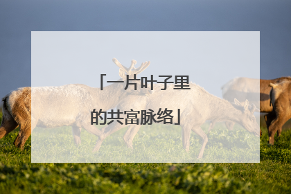 一片叶子里的共富脉络