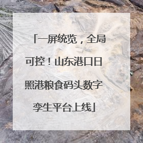 一屏统览，全局可控！山东港口日照港粮食码头数字孪生平台上线