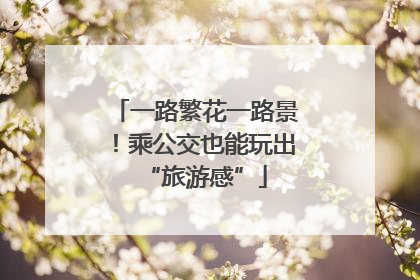 一路繁花一路景！乘公交也能玩出“旅游感”