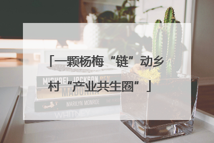 一颗杨梅“链”动乡村“产业共生圈”