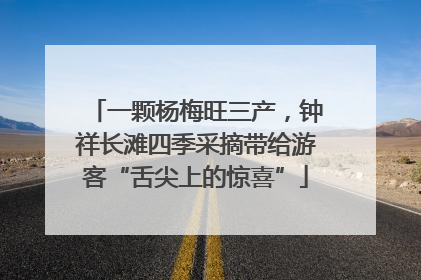 一颗杨梅旺三产，钟祥长滩四季采摘带给游客“舌尖上的惊喜”