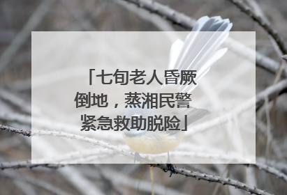 七旬老人昏厥倒地，蒸湘民警紧急救助脱险