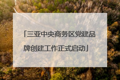 三亚中央商务区党建品牌创建工作正式启动