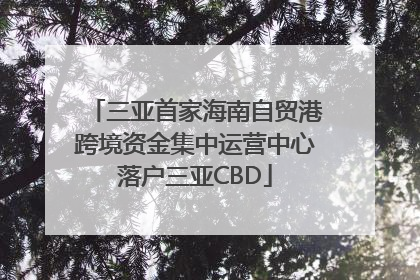 三亚首家海南自贸港跨境资金集中运营中心落户三亚CBD