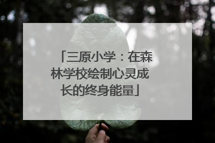 三原小学：在森林学校绘制心灵成长的终身能量