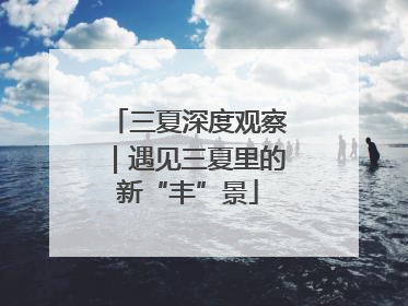 三夏深度观察｜遇见三夏里的新“丰”景