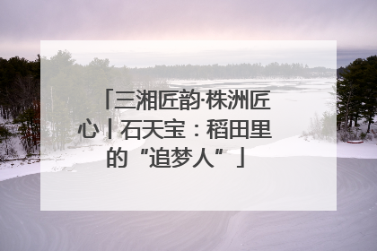 三湘匠韵·株洲匠心丨石天宝：稻田里的“追梦人”