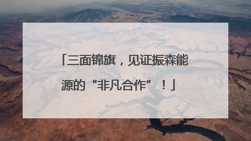 三面锦旗，见证振森能源的“非凡合作”！
