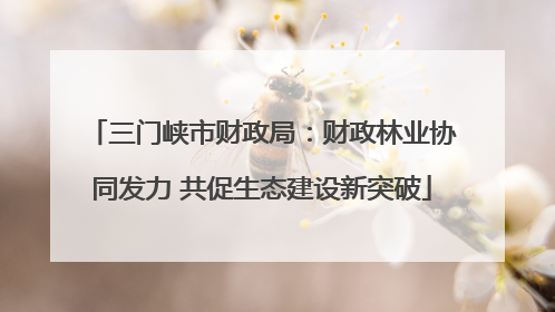 三门峡市财政局：财政林业协同发力 共促生态建设新突破