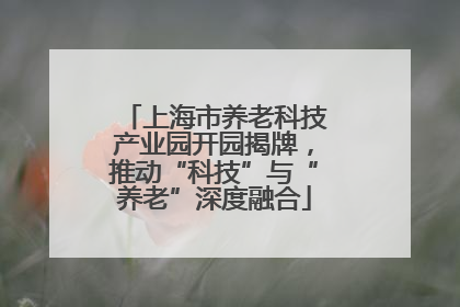 上海市养老科技产业园开园揭牌，推动“科技”与“养老”深度融合