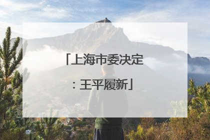 上海市委决定：王平履新