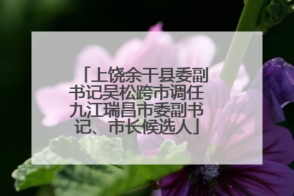 上饶余干县委副书记吴松跨市调任九江瑞昌市委副书记、市长候选人