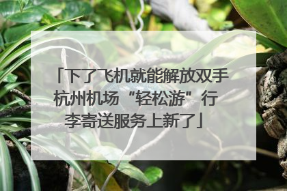 下了飞机就能解放双手 杭州机场“轻松游”行李寄送服务上新了