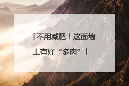 不用减肥！这面墙上有好“多肉”