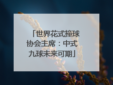 世界花式撞球协会主席：中式九球未来可期