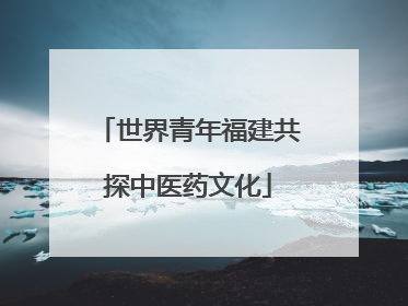 世界青年福建共探中医药文化
