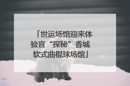 世运场馆迎来体验官“探秘”香城软式曲棍球场馆