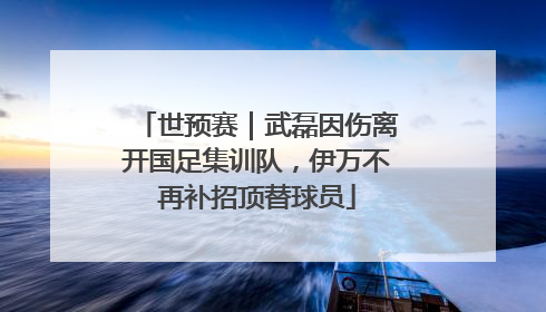 世预赛｜武磊因伤离开国足集训队，伊万不再补招顶替球员