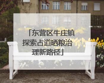 东营区牛庄镇探索占道晒粮治理新路径