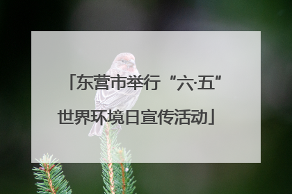 东营市举行“六·五”世界环境日宣传活动