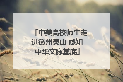 中美高校师生走进徽州灵山 感知中华文脉基底