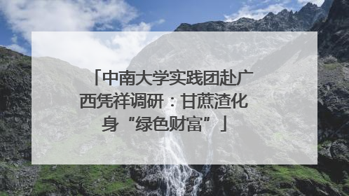 中南大学实践团赴广西凭祥调研：甘蔗渣化身“绿色财富”